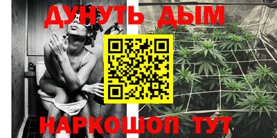 крисы Дубна