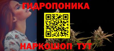 крисы Дубна