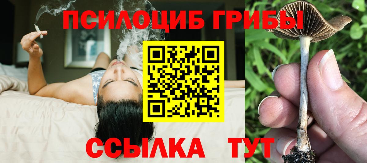 Псилоцибиновые грибы Psilocybine cubensis Мытищи